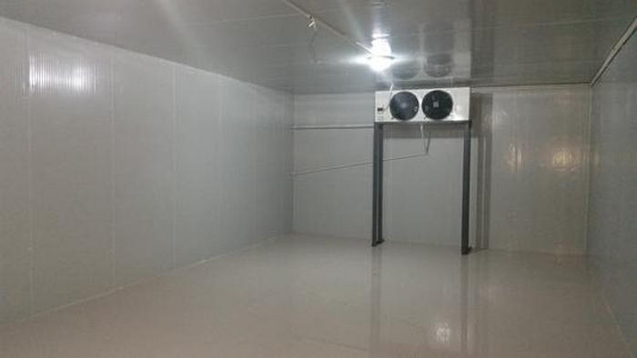 5fb36ccd3500c.jpg